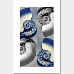 Coiled Posters and Art